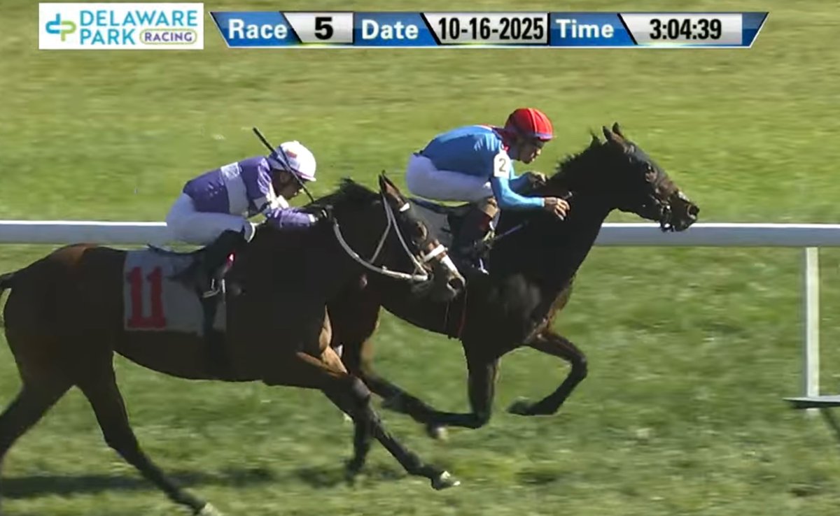 MJM_Stable's tweet image. My Gal breaks her maiden over the turf @DelParkRacing under a very patient, rail skimming ride by @VCarrasco28 Outstanding training job by @carrasco_racing and his team not just today but all summer! Congrats to all the partners!