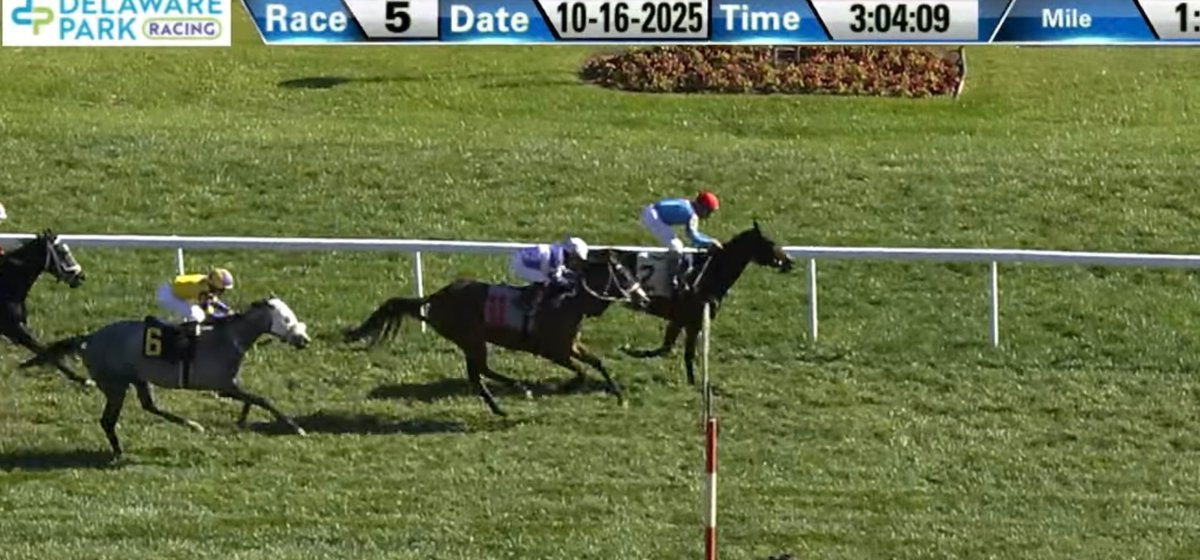 MJM_Stable's tweet image. My Gal breaks her maiden over the turf @DelParkRacing under a very patient, rail skimming ride by @VCarrasco28 Outstanding training job by @carrasco_racing and his team not just today but all summer! Congrats to all the partners!