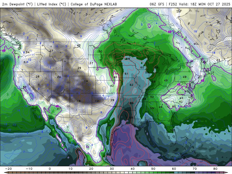 Ethan Bolzicco tweet media