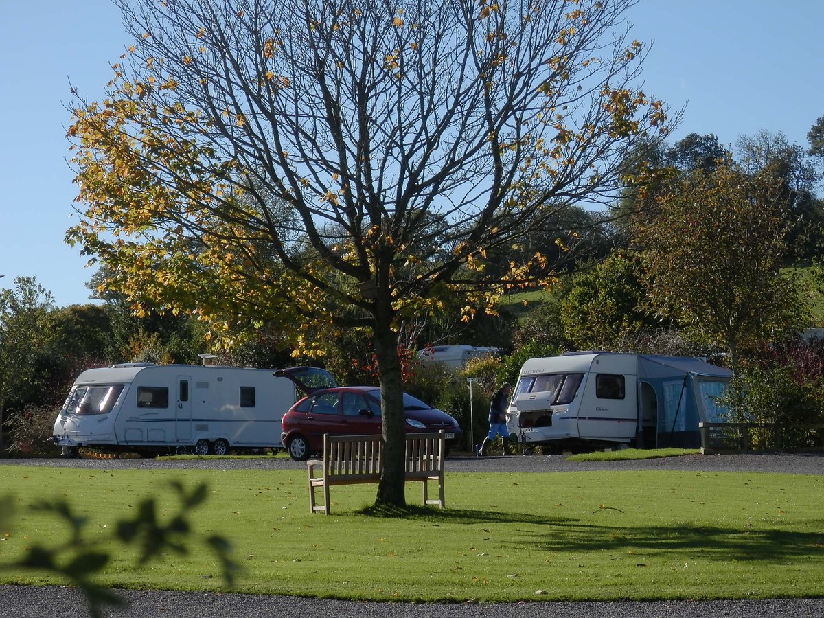 Cancellation just in!
27th October - 7 or more nights - Super A pitch Top Oaks 14
Available to book online or by calling 01458 831437 or emailing info@theoldoaks.co.uk