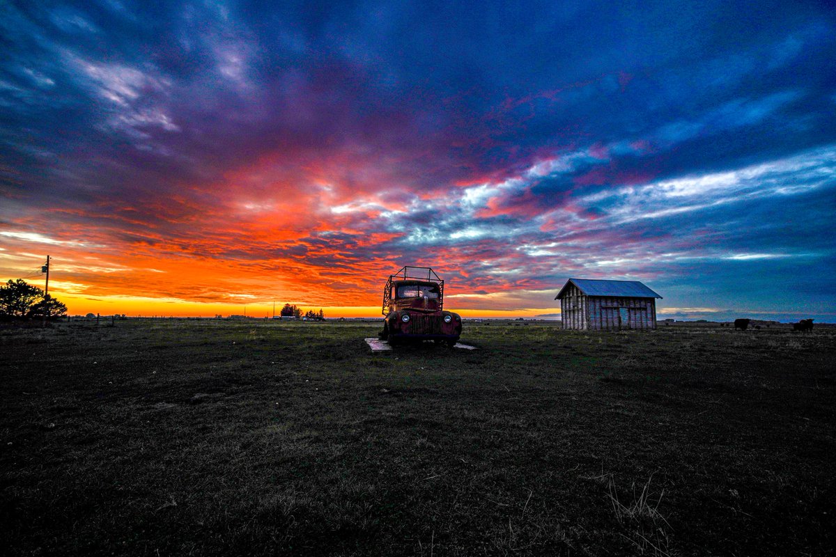 Cuttercorn's tweet image. 