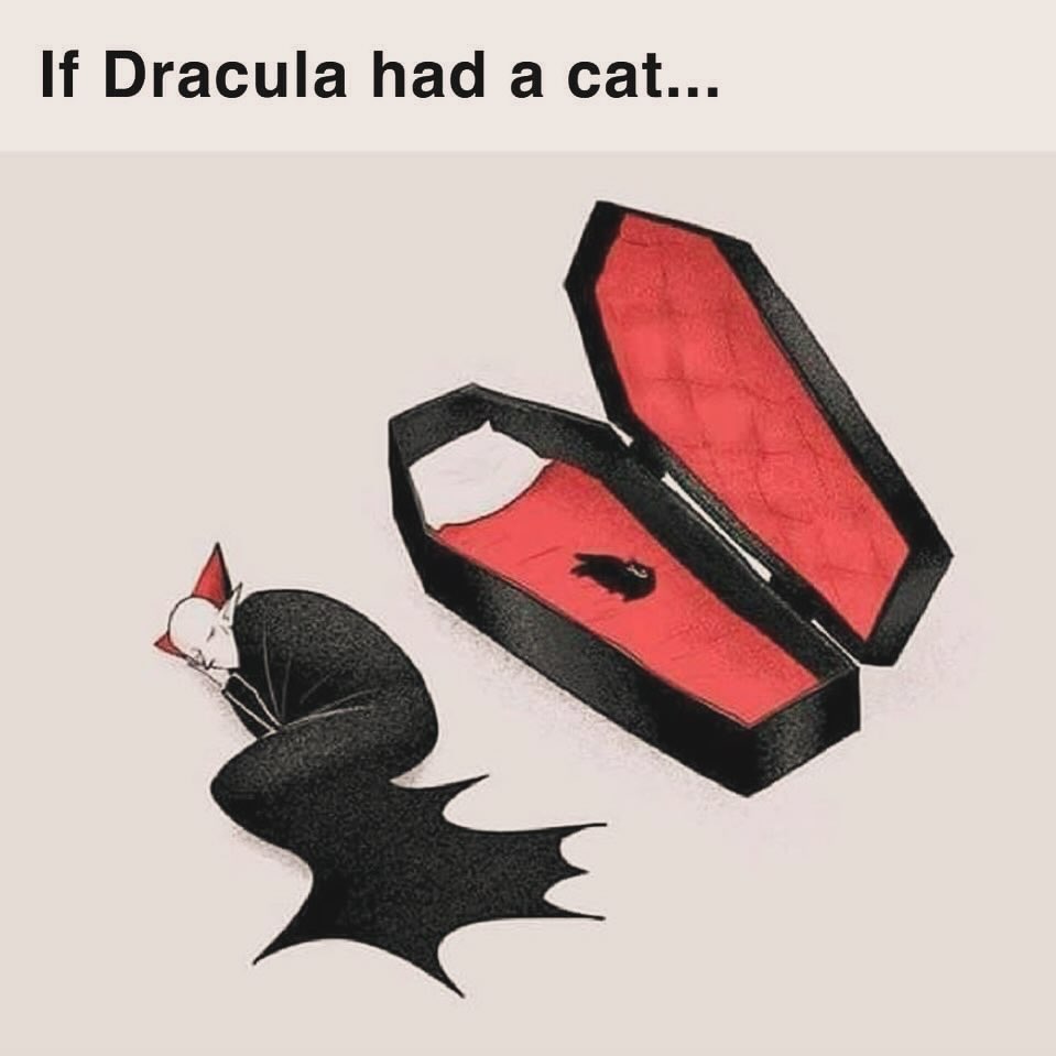 Punch Cat (@punchingcat) on Twitter photo 
