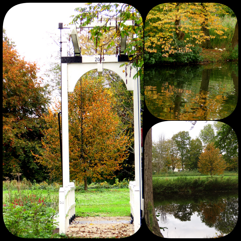 #herfstkleuren 🍁🍂