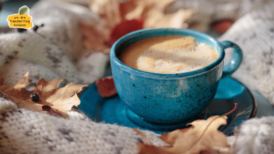 TransmitScience's tweet image. Midweek coffee rituals can turn into tiny research retreats. The steam, the quiet corner, a notebook open, sometimes the best ideas emerge from these ordinary pauses.
Do you have a small ritual that sparks your curiosity?
#WeareTransmittingScience #AcademicLife 📖☕✨