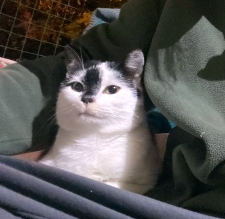 Birbirinize emanetsiniz