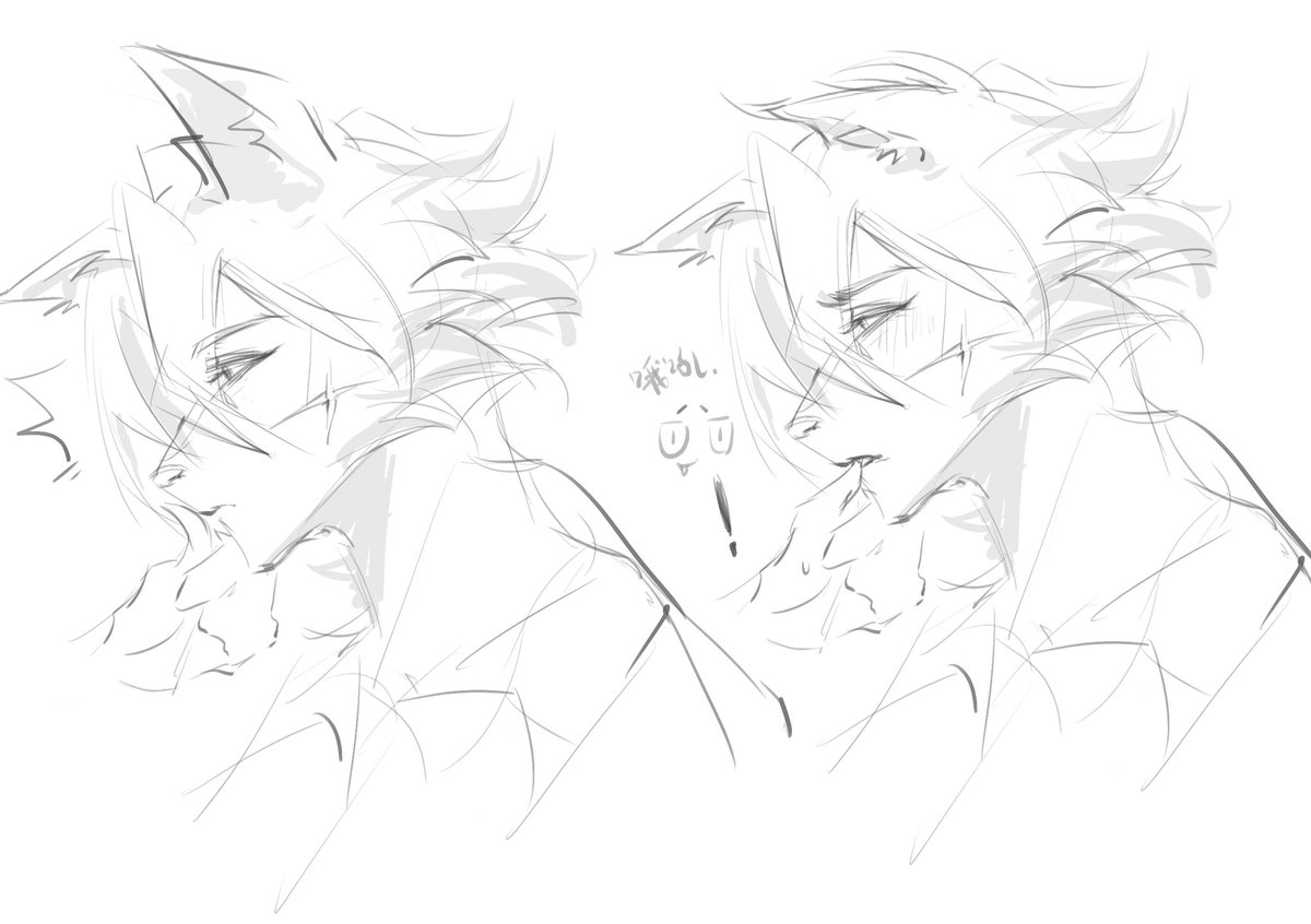 你有一个miss tweet media