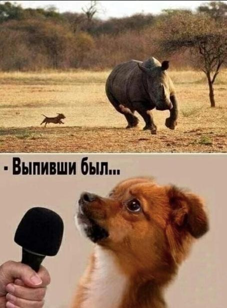 Ну шо там?
Нибось бухлишком уже запасаетесь?

Всех с окончанием рабочей недели 
Ребятки - котятки мои 🫶🫶🫶