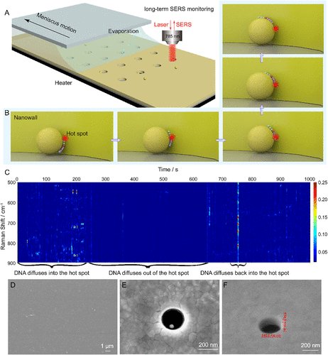 RamanProSeq's tweet photo. Delighted to present our new publication in ACS Nano!
Using Raman correlation spectroscopy in plasmonic nanowells, we achieved label-free single-molecule monitoring of nucleic acid dynamics with base-level resolution.
Read more 👉 https://t.co/4hxkAtnLtf
Xin et al. https://t.co/KpZB4DDxu3