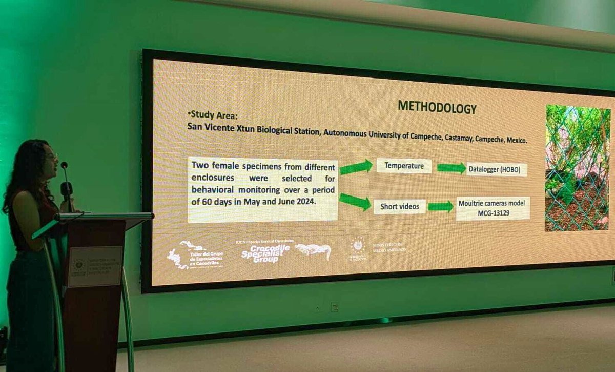Crocodile Research and Management for Conservation tweet media