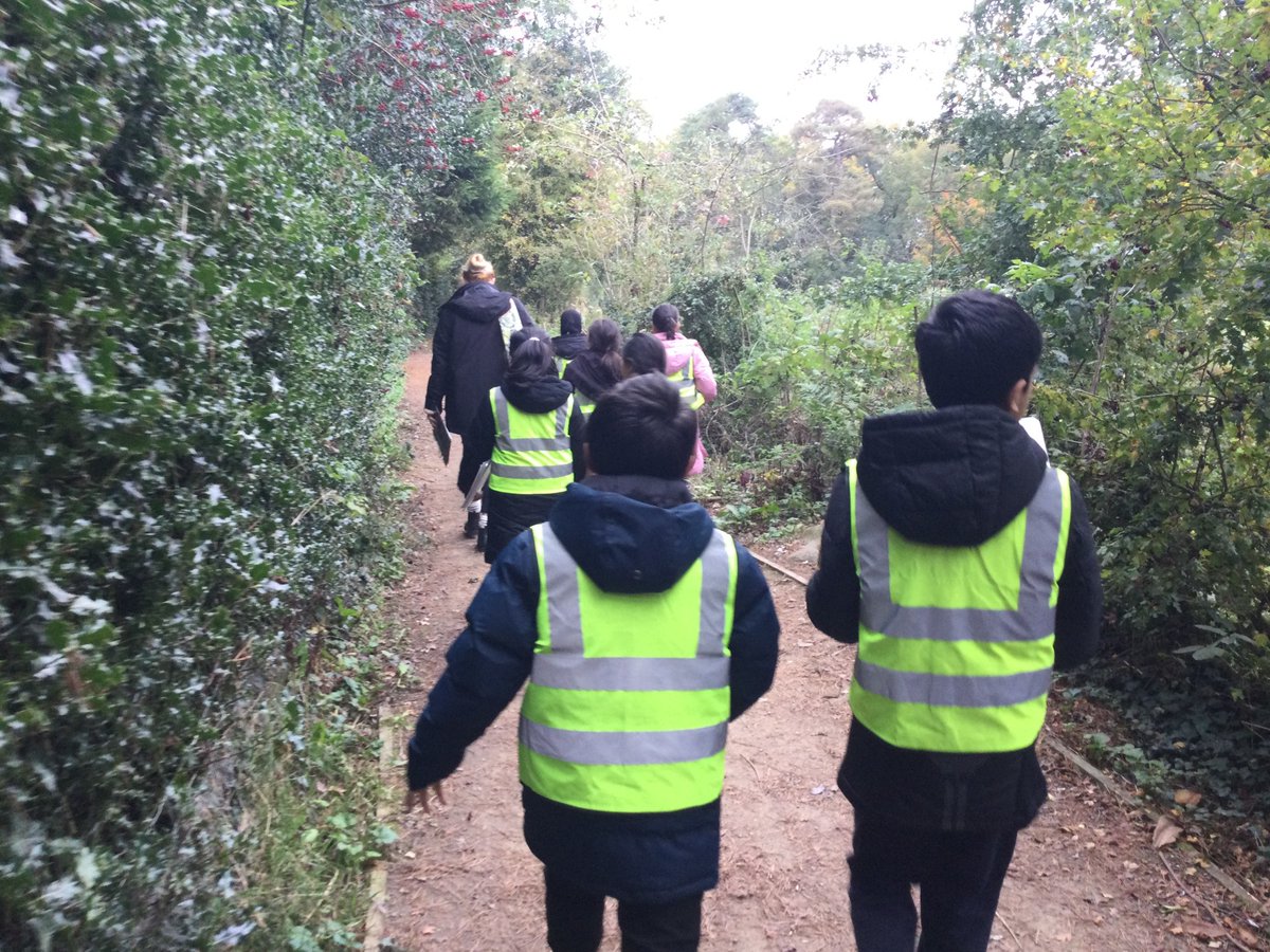 Roundthorn Primary Academy tweet media