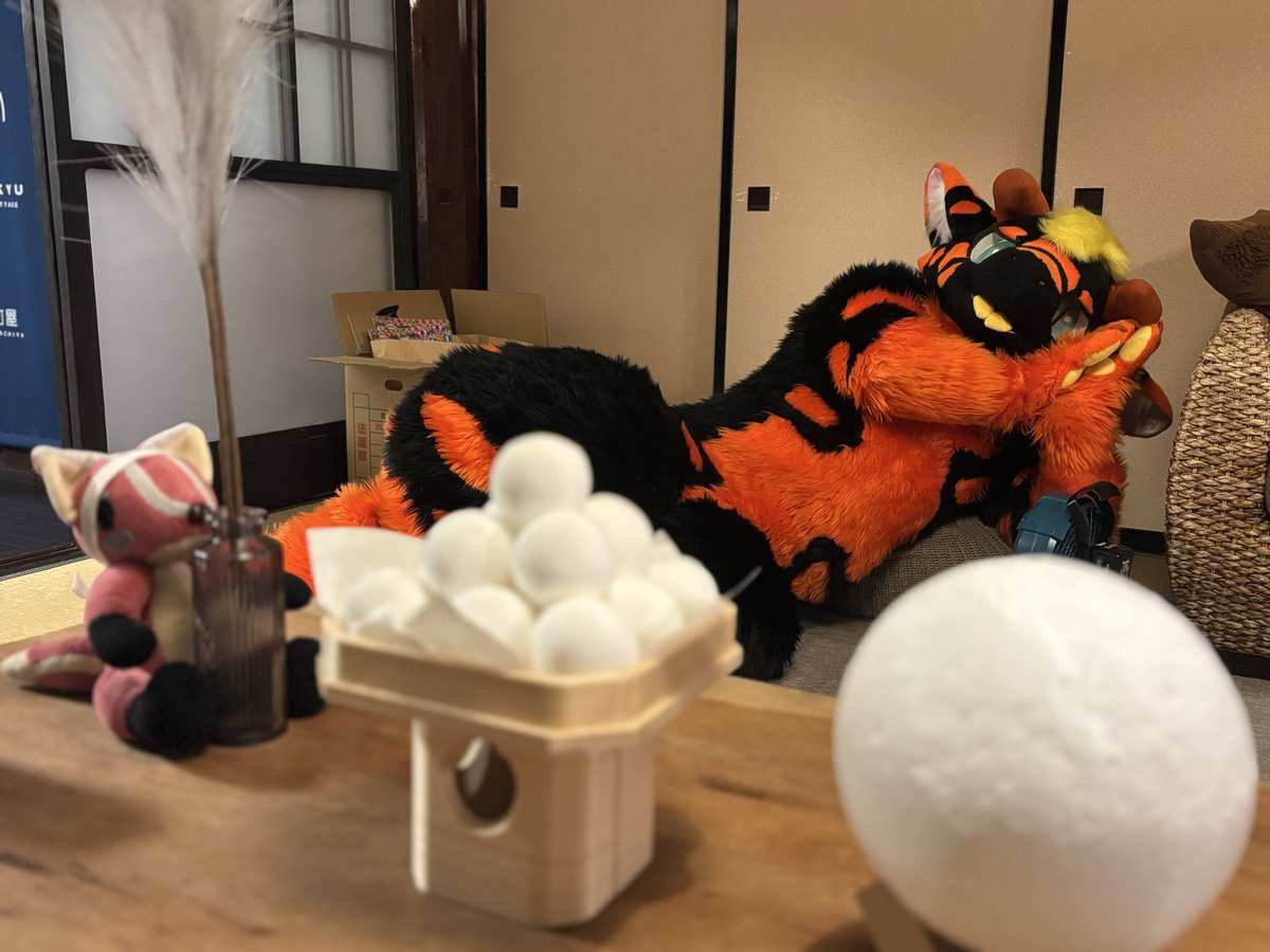 フェゴくんスヤァ💤