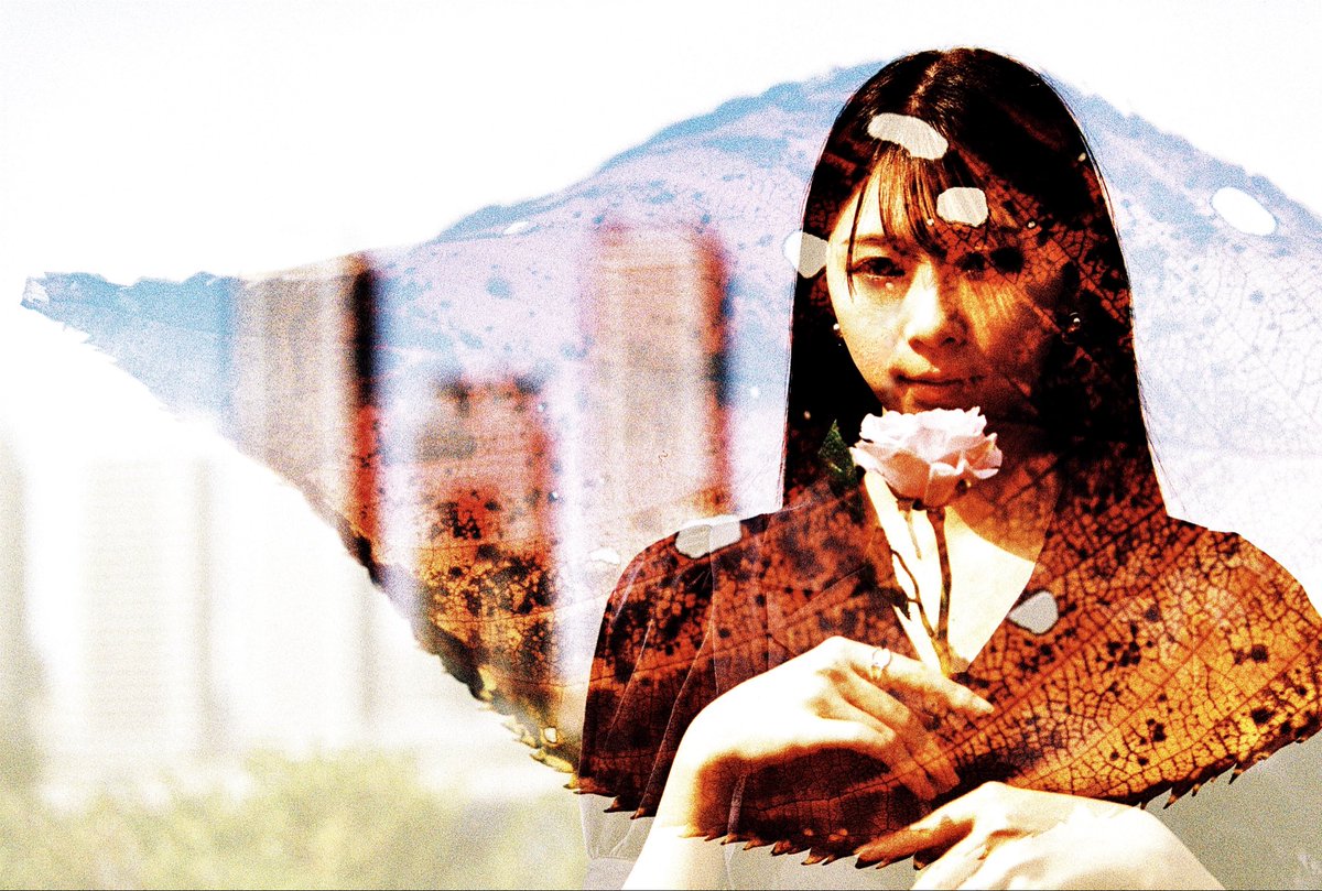 hodachrome2's tweet image. 【多重露光フォトウォークの講師作例⑤】
1回目はモデルの葉月さんをビルをバックに横位置で、2回目は落ち葉をマクロで撮り葉っぱの中に包まれているような雰囲気を狙いましたが1回目の光が強すぎたため葉っぱが少し弱まりました。でもクロス現像のトーンと儚げな雰囲気は気に入っています。
Canon…