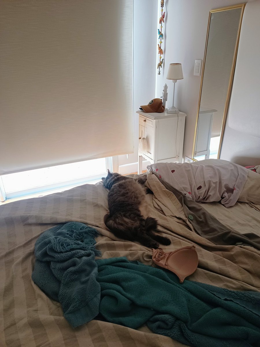 Ustedes tampoco tienden la cama durante todo el día porque algún caradura en forma de gato la ocupa todo el día?