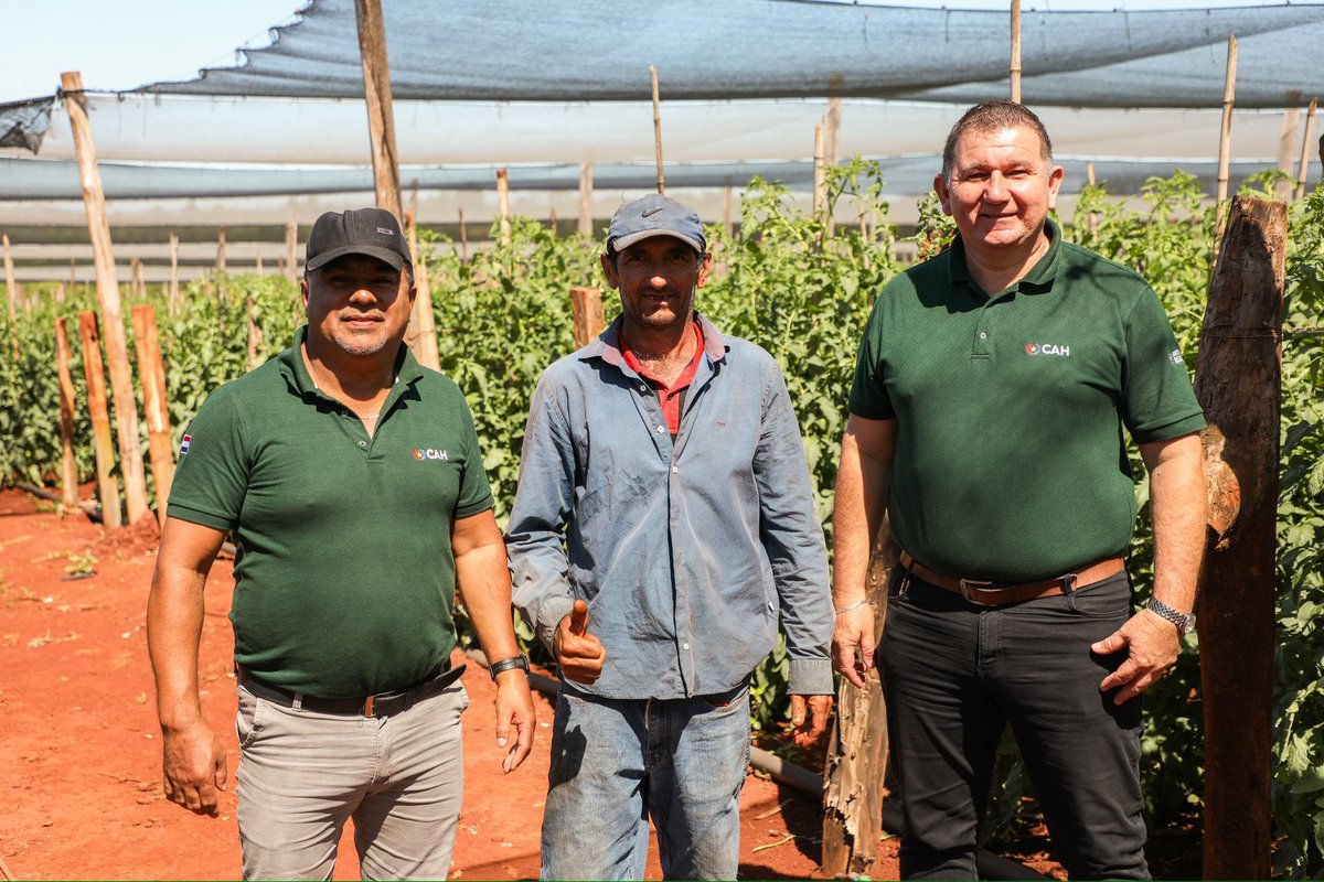 Venancio Estigarribia, productor de Minga Guazú, lleva 15 años cultivando tomate y locote con esfuerzo y dedicación🫑

Gracias al apoyo del CAH, pudo acceder a un crédito que le permitió invertir para fortalecer su producción y expandir su alcance a mercados de Asunción y CDE🚜💪