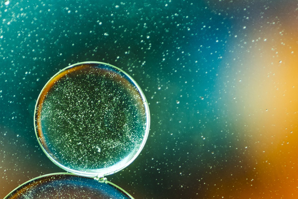 MediTechInsight's tweet image. Spatial Biology Market Set to Grow at 15% CAGR — Transforming Cancer Research & Precision Medicine
Learn more
👉 meditechinsights.com/spatial-biolog…
#SpatialBiology #SpatialOmics #Spatial #SpatialProteomics #SpatialGenomics #SingleCellAnalysis #Omics #Genomics #Proteomics #Oncology