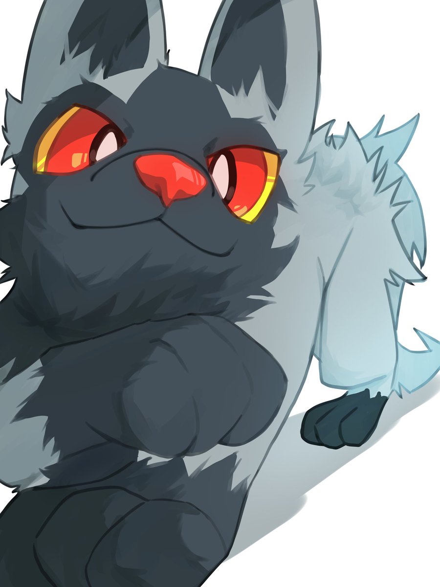 わん