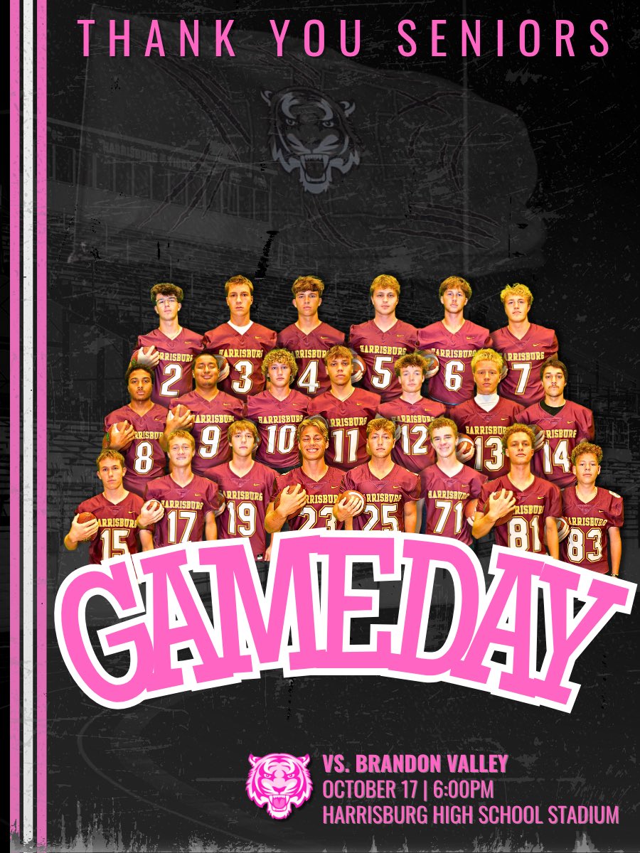 HHSTigerFBall's tweet photo. Senior Night in the Jungle! Let’s bring it Tiger Nation. Win the Day! #BreastCancerAwareness #BeGreat https://t.co/OjmxKcYUkY