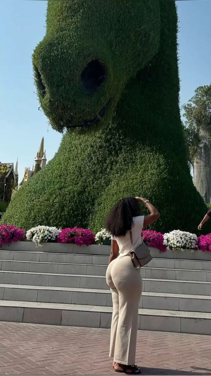 Vibes_&_Velvet tweet media