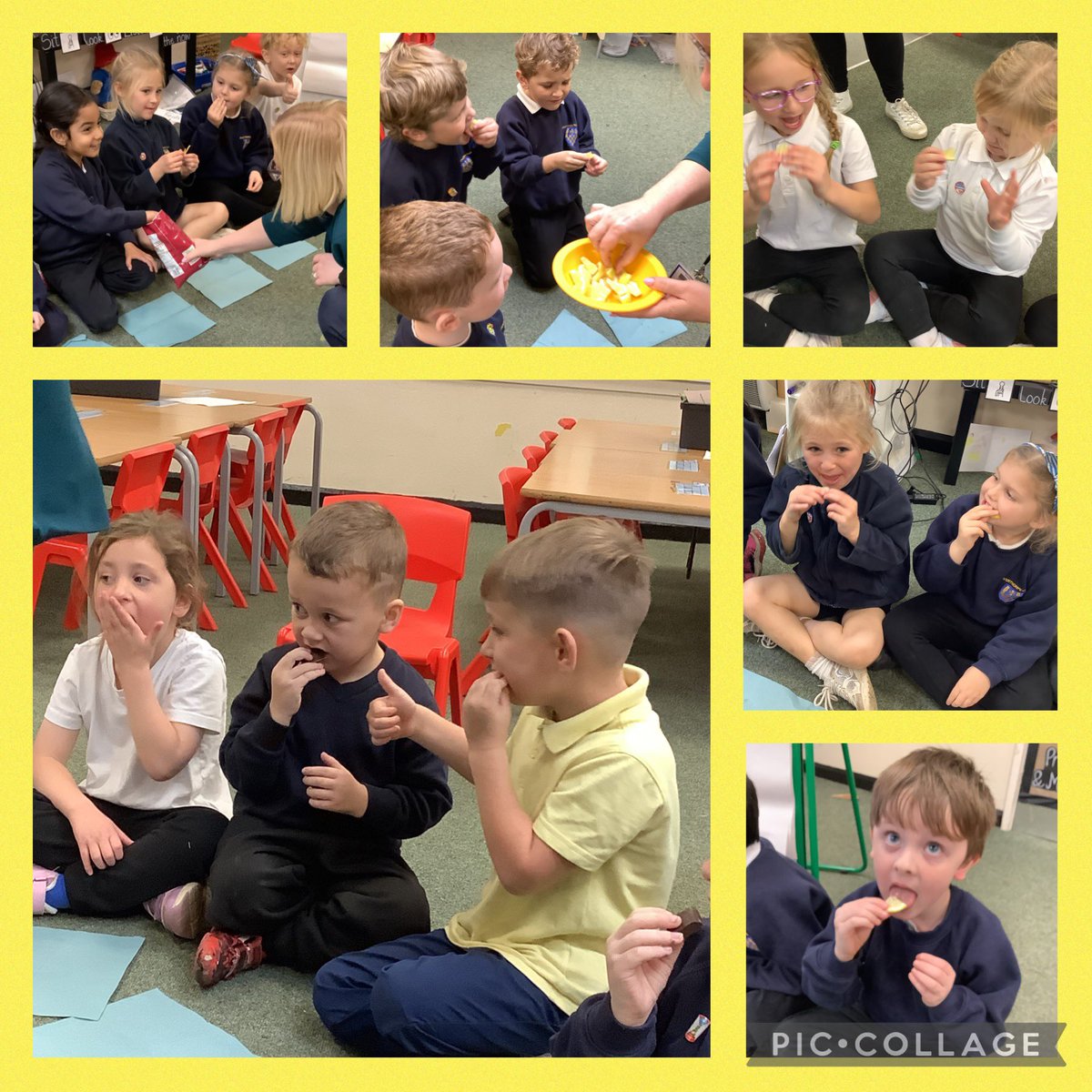 Overthorpe C of E (@overthorpe_acad) on Twitter photo Woodpeckers have been tasting foods that are sour, bitter, sweet, salty and savoury today in science🍫🍋🍟🍪🧀 It was a delicious learning experience.😋 Woodpeckers have been tasting foods that are sour, bitter, sweet, salty and savoury today in science🍫🍋🍟🍪🧀 It was a delicious learning experience.😋