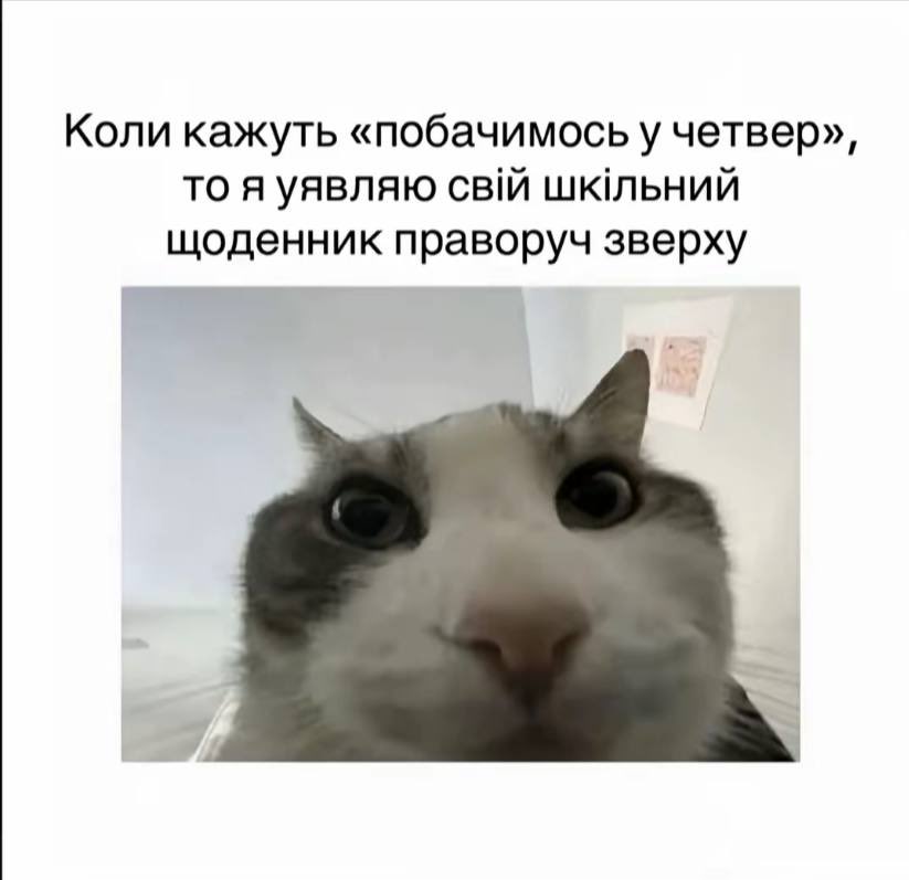 bromemss's tweet image. 
