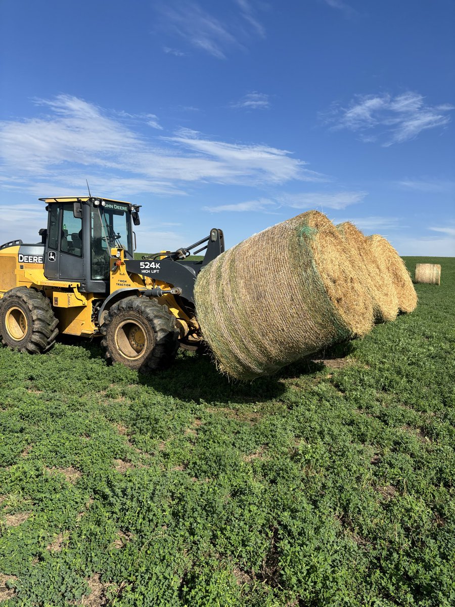 3B-Implement tweet media