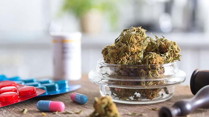 CarverJohns's tweet photo. Pain Patients Reduce Their Opioid Use Following Adjunctive Use of Medical Cannabis

Patients who received cannabis decreased their average opioid intake to 2.7mg/day after one year of treatment. By contrast, patients who did not receive cannabis consumed an average of 42.3 mg/day of opioids at follow-up.

Patients who consumed cannabinoids were also more likely than controls to experience decreases in depression, anxiety, insomnia, and disability.

https://t.co/h7u8RESTja