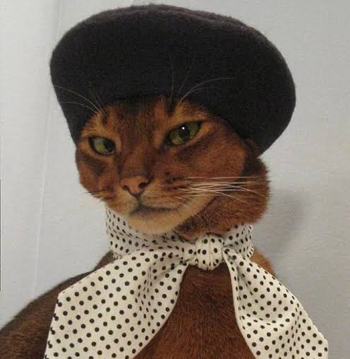 uma coisa que sempre achei podre de chique: pessoas que presenteiam sem precisar de datas comemorativas, tipo vi isso aqui lembrei de vc toma, presente!