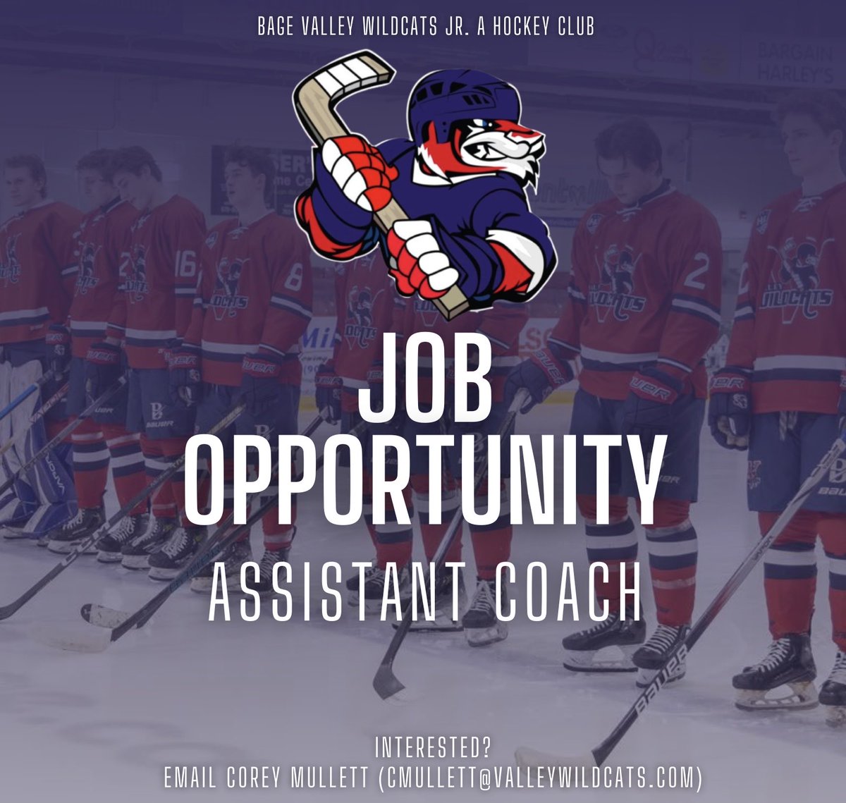 WE’RE HIRING!

The Bage Valley Wildcats Jr. A Hockey Club is searching for an Assistant Coach to start immediately.

All interested applicants please contact General Manager Corey Mullett (CMullett@valleywildcats.com).
