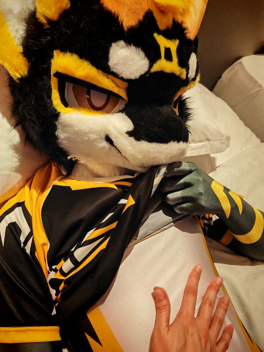 #FursuitFriday

「摸我」

📷|<a href="/Lacotot/">Laco🐼📷➡️Infurnity2025</a>