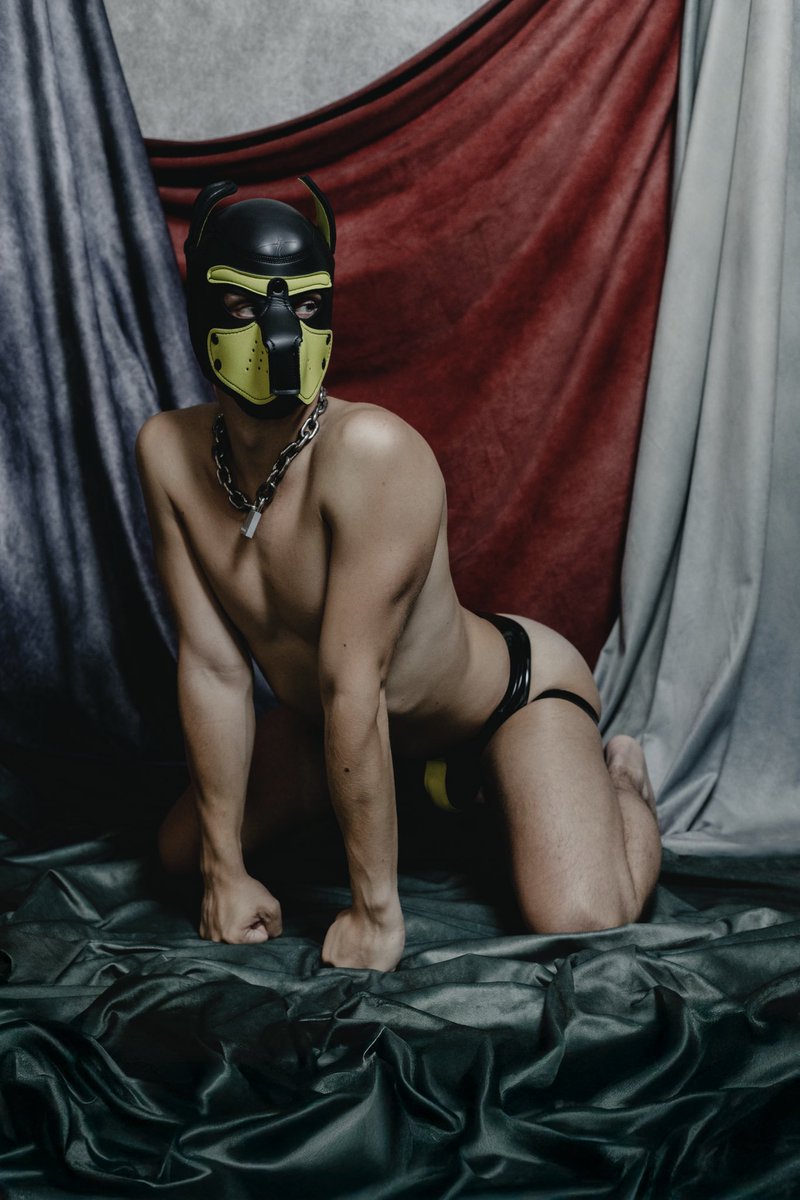 Rex Parker ⛓️‍💥 tweet media