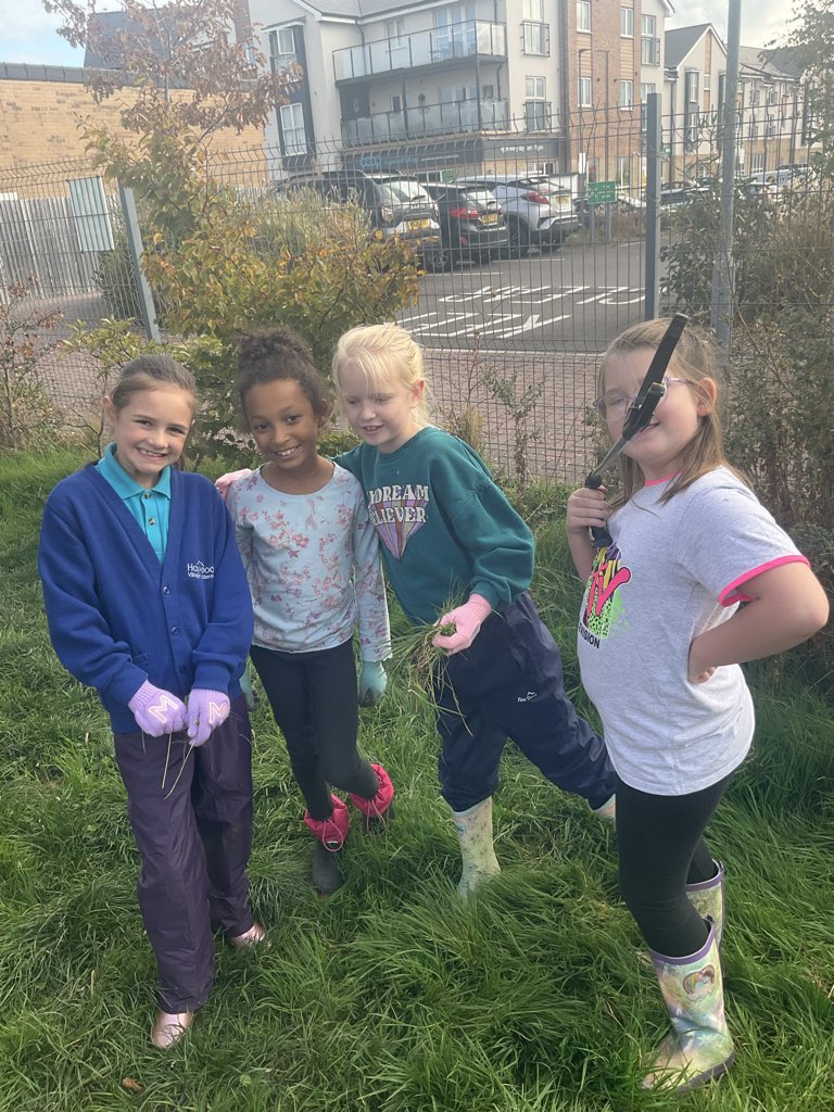 Mr Allen tweet media