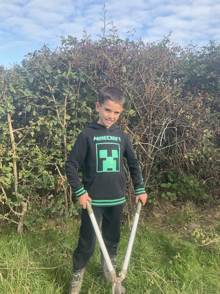 Mr Allen tweet media