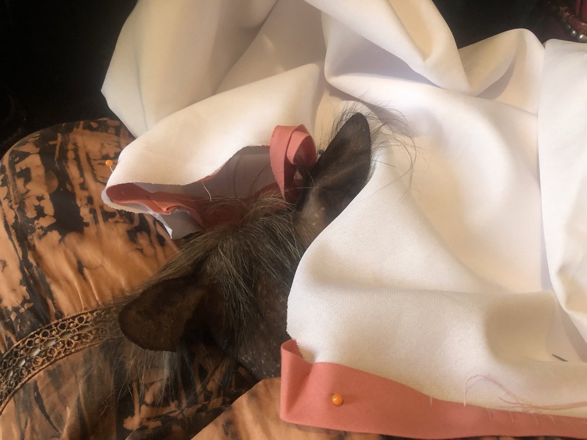 stillphosphor's tweet image. I’m trying to desperately tack trim onto cosplay but this idiot won’t leave even when there’s pins 🙁