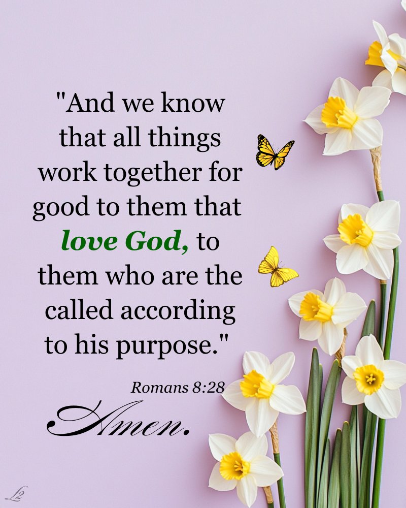 bjo qwe (@bjoqwe) on Twitter photo 