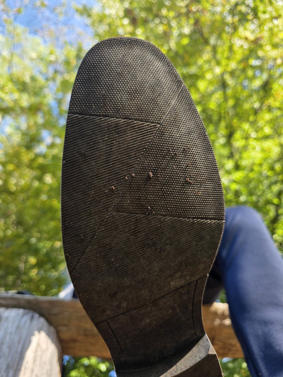 FeetMaster1988's tweet photo. Da wärst du wohl gerne ganz nah an meinen Schuhen.  
Dein Blick klebt an der Unterseite und du wartest auf den Befehl.  
Meine Sohlen sind nur etwas dreckig, aber du weißt, was zu tun ist.  
Sie sollen glänzen. Ohne Widerrede.  

FeetDomination #ShoeWorship #SockFetish #Trampling #FootSlave