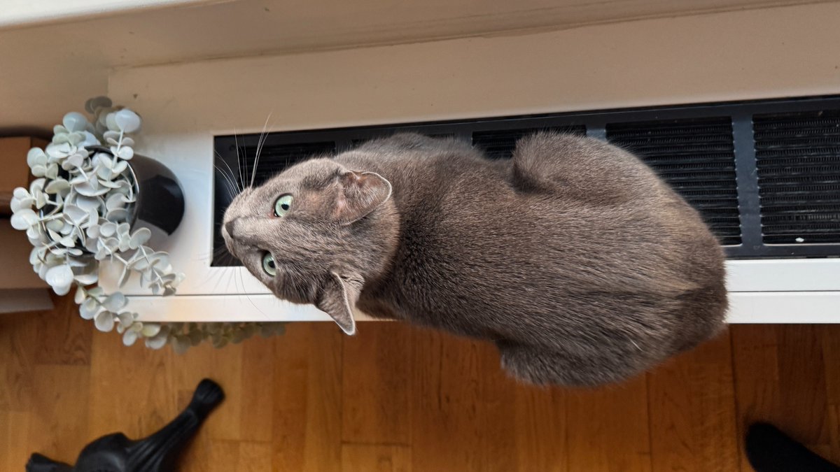 deepa's tweet image. Heat's on