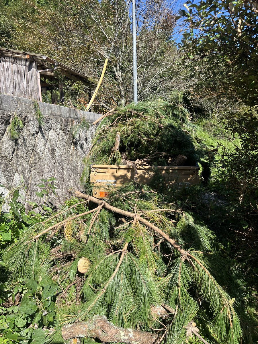 働く軽トラちゃん

松の剪定枝を捨てにいくのに
3往復したよ