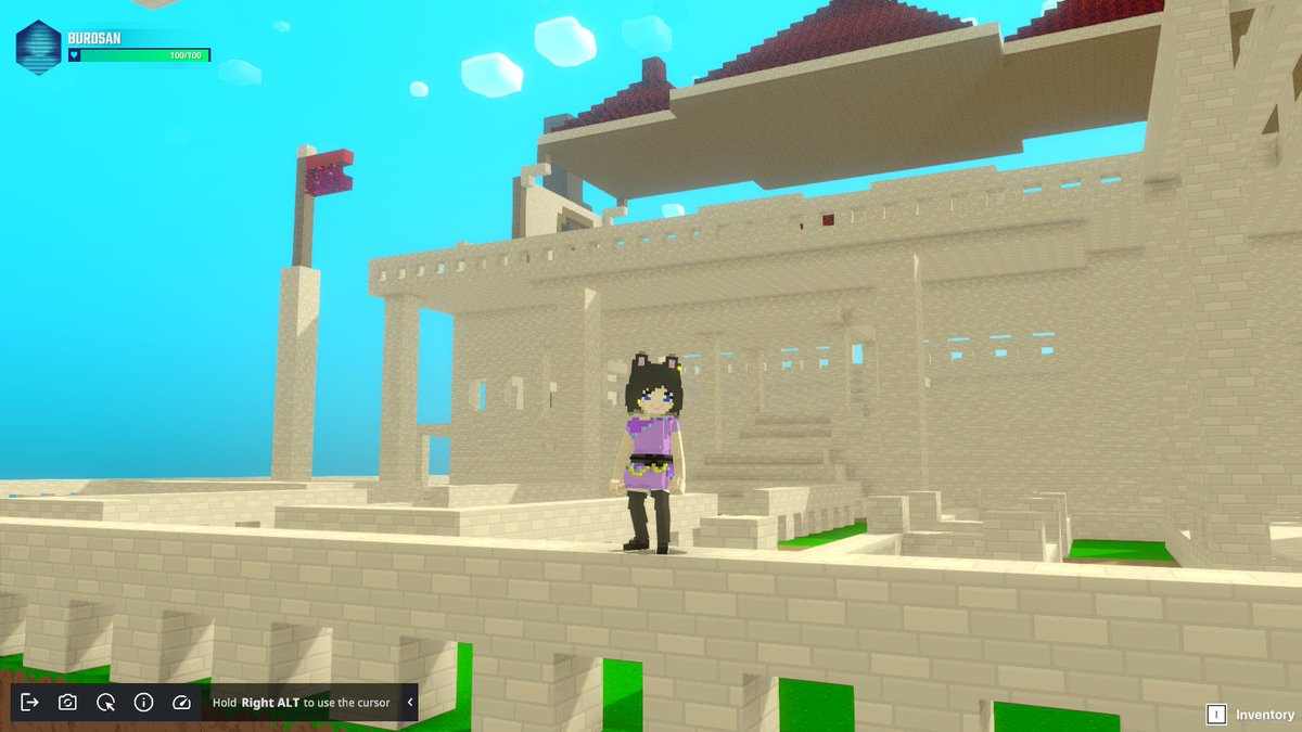 Büro🎈Voxel Build✩IZA VoxeLab tweet media