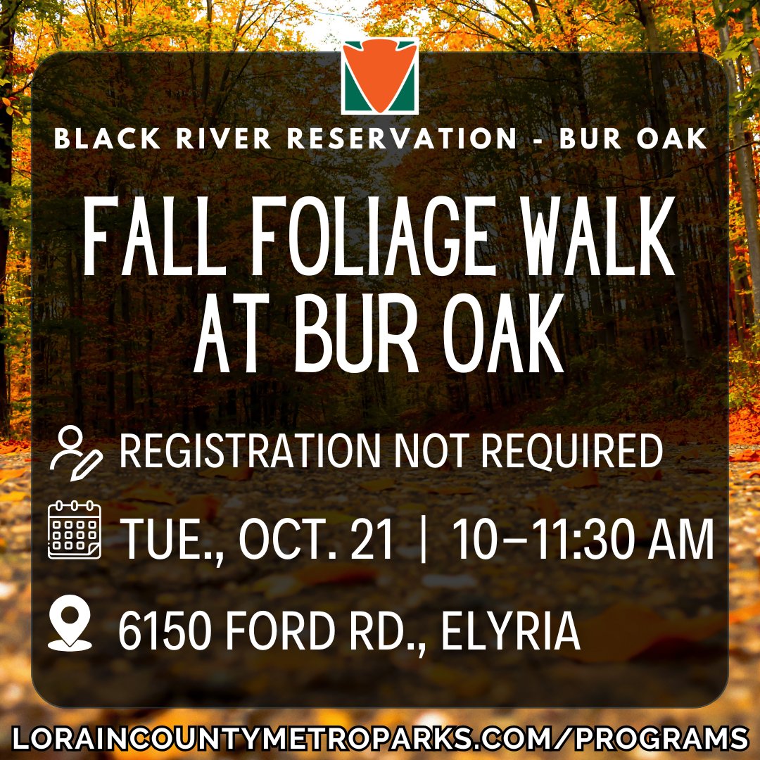 Join a naturalist to admire the fall foliage on a guided walk along the Bridgeway Trail to the wooden bridges spanning the Black River and back. Registration is not required. Find more programs at tinyurl.com/Black-River-Re….