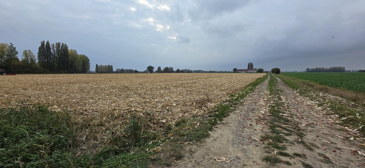 BBTLLP's tweet photo. Another brilliant day walking the #Battlefields, this time a gentle 12.5 mile loop from #Givenchy, through #Festubert & up to the boars head & #Richebourg. Some amazing stories, some great finds, amazing views, lunch with the lads & some achy legs! Definitely earned the #Burger! https://t.co/vRBZVwrktP