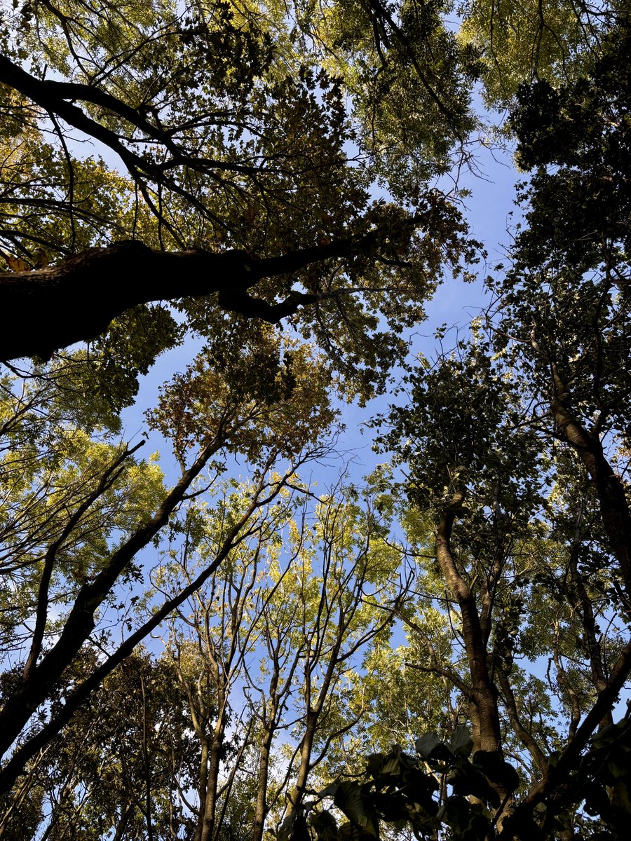 North York Moors Trust tweet media