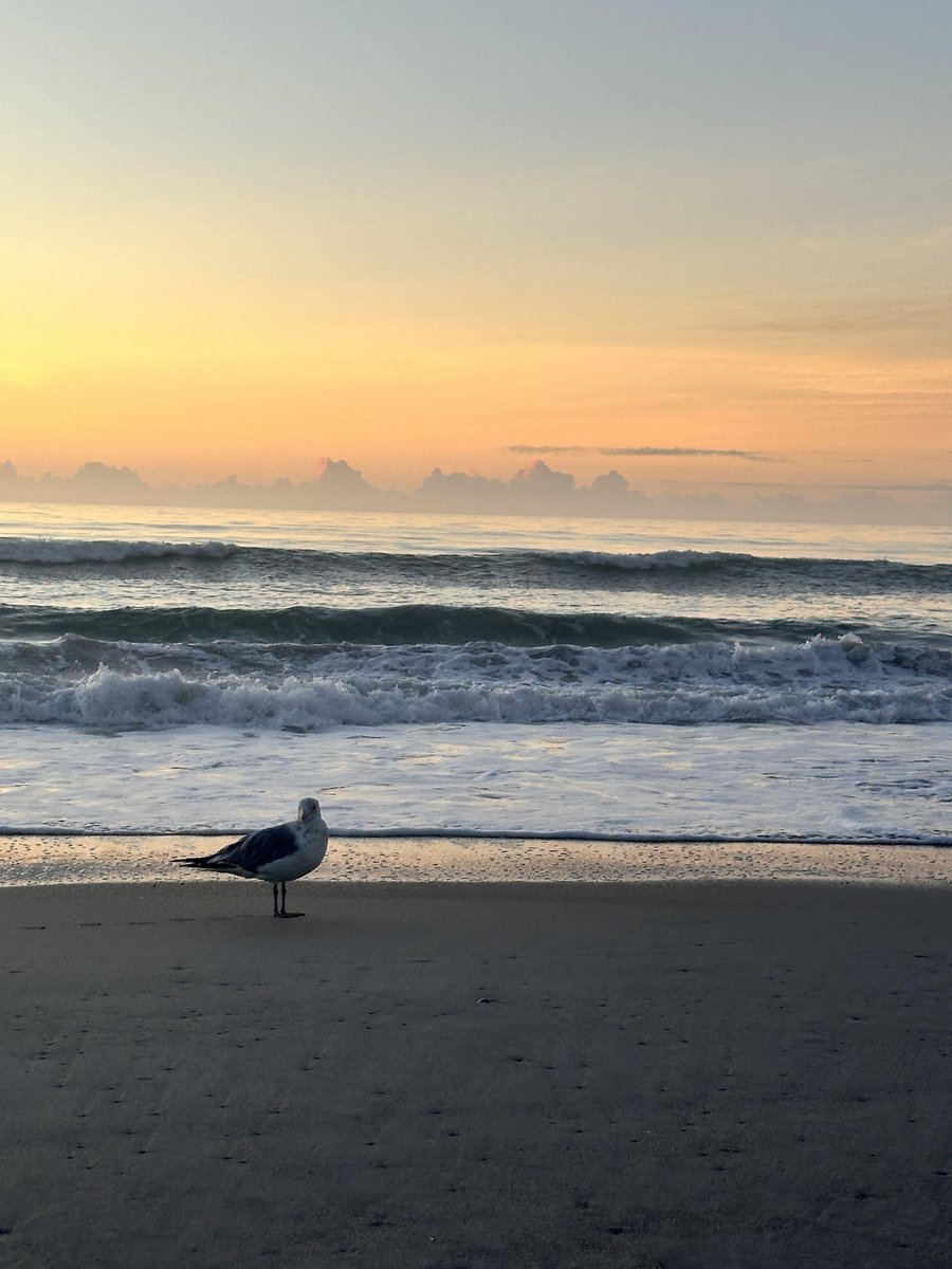 The Stories We Tell Ourselves  open.substack.com/pub/rickspeckh…