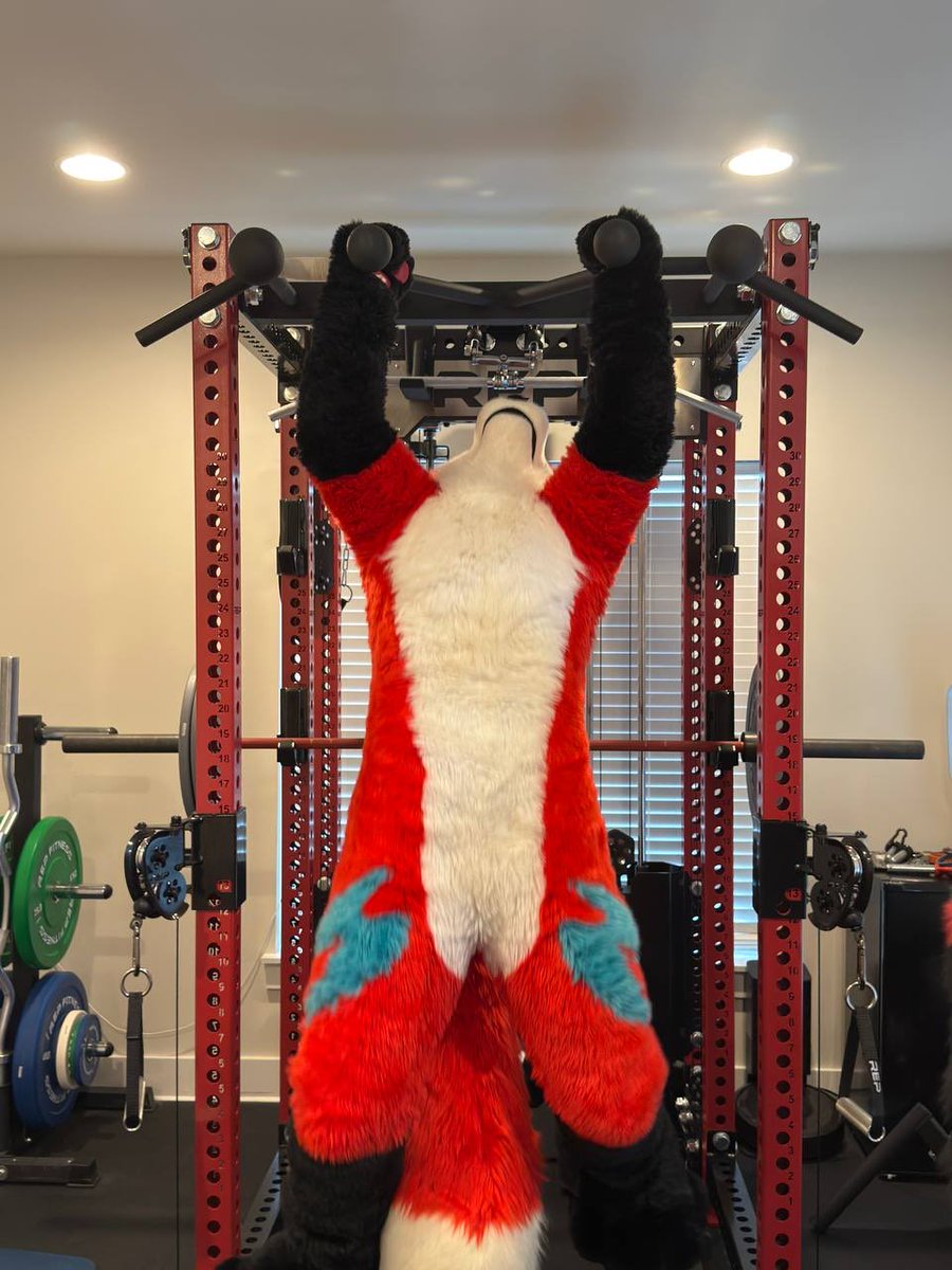 Workin out! #FursuitFriday #Foxtober Episode 11

📸: <a href="/DutchWoof/">Dutch</a>