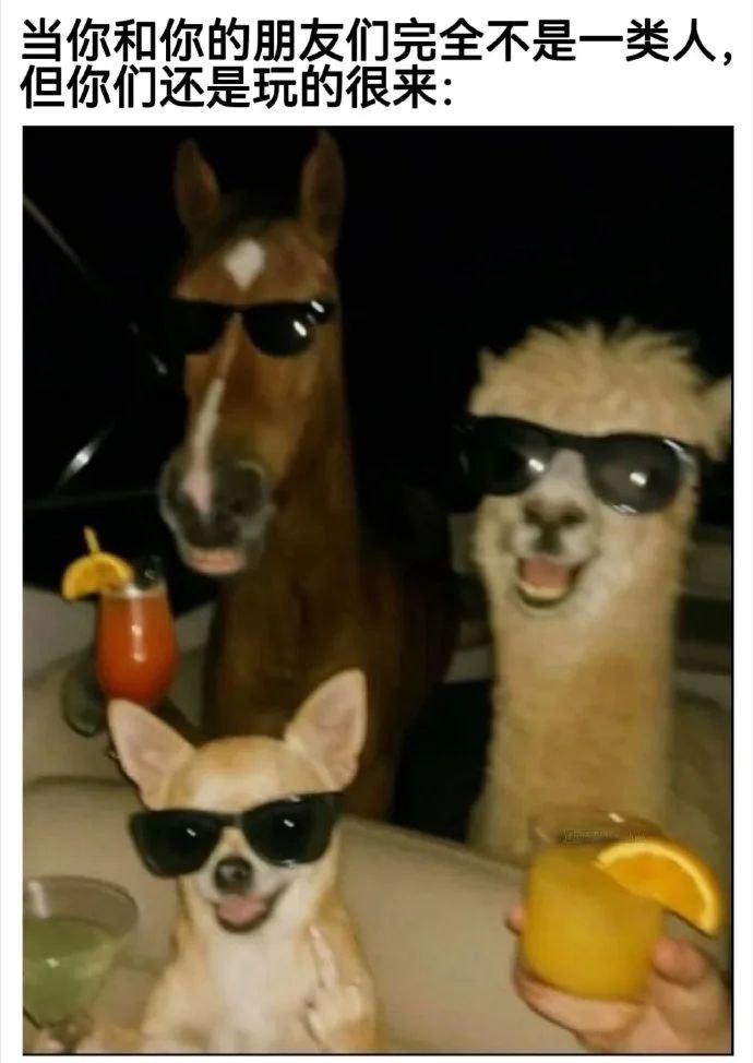 香芋牛奶 (@xiangyuniunai) on Twitter photo 