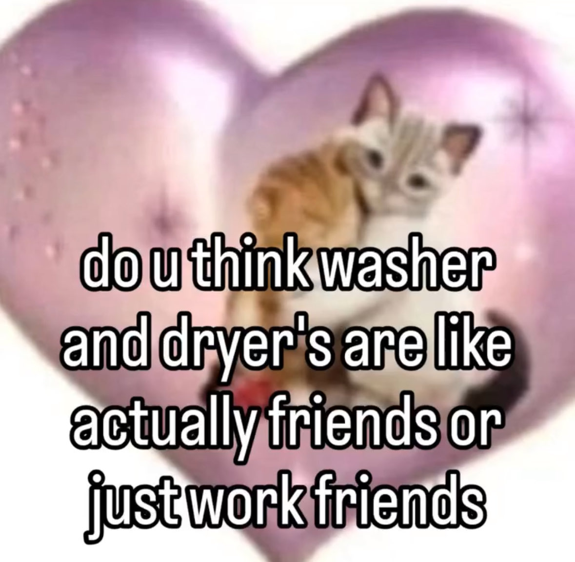 CatPosted's tweet image. 