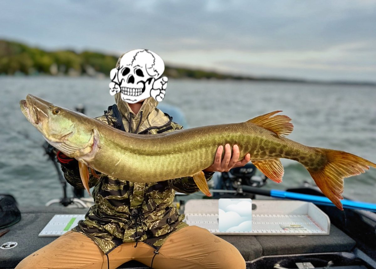 weakestracist's tweet photo. Light tackle> https://t.co/6Ghtgrk6lG