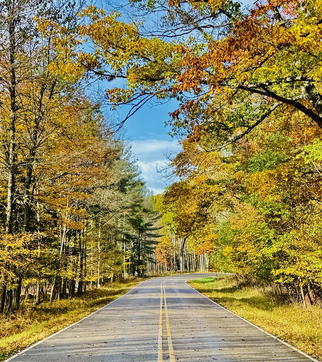 rob_lehman's tweet photo. @TeriBarrMedia  Hi Teri I got you pictures of the fall colors along CTH M Rustic Road 47 between Tigerton and Wittenberg in western Shawano County https://t.co/b4N9trAYbT