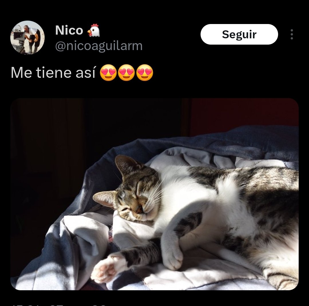 JuacoNegrevich's tweet photo. @nicoaguilarm @Matute_RP98 Maricon sos vos, que te dejas culiar por un gato https://t.co/dcoF3xwXKi