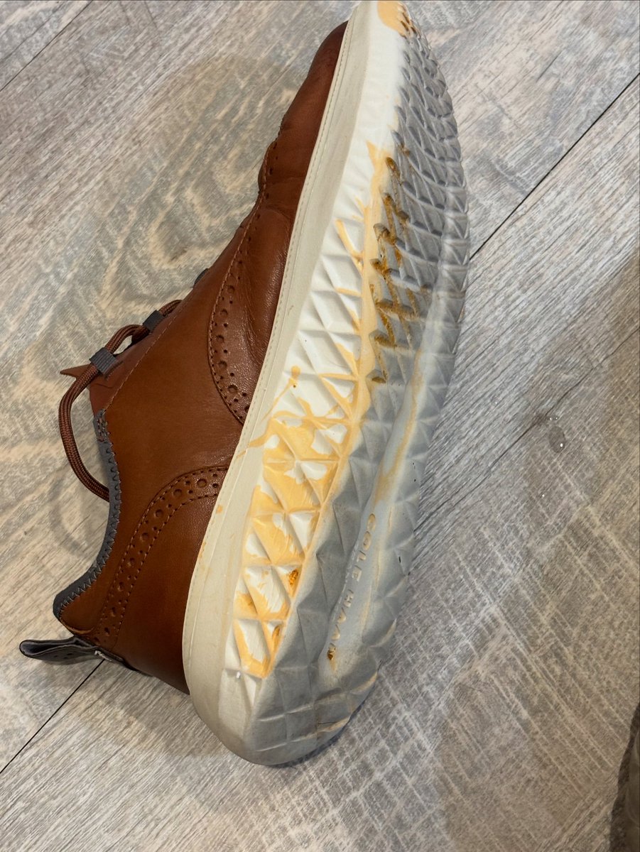 Todd Dragity tweet media