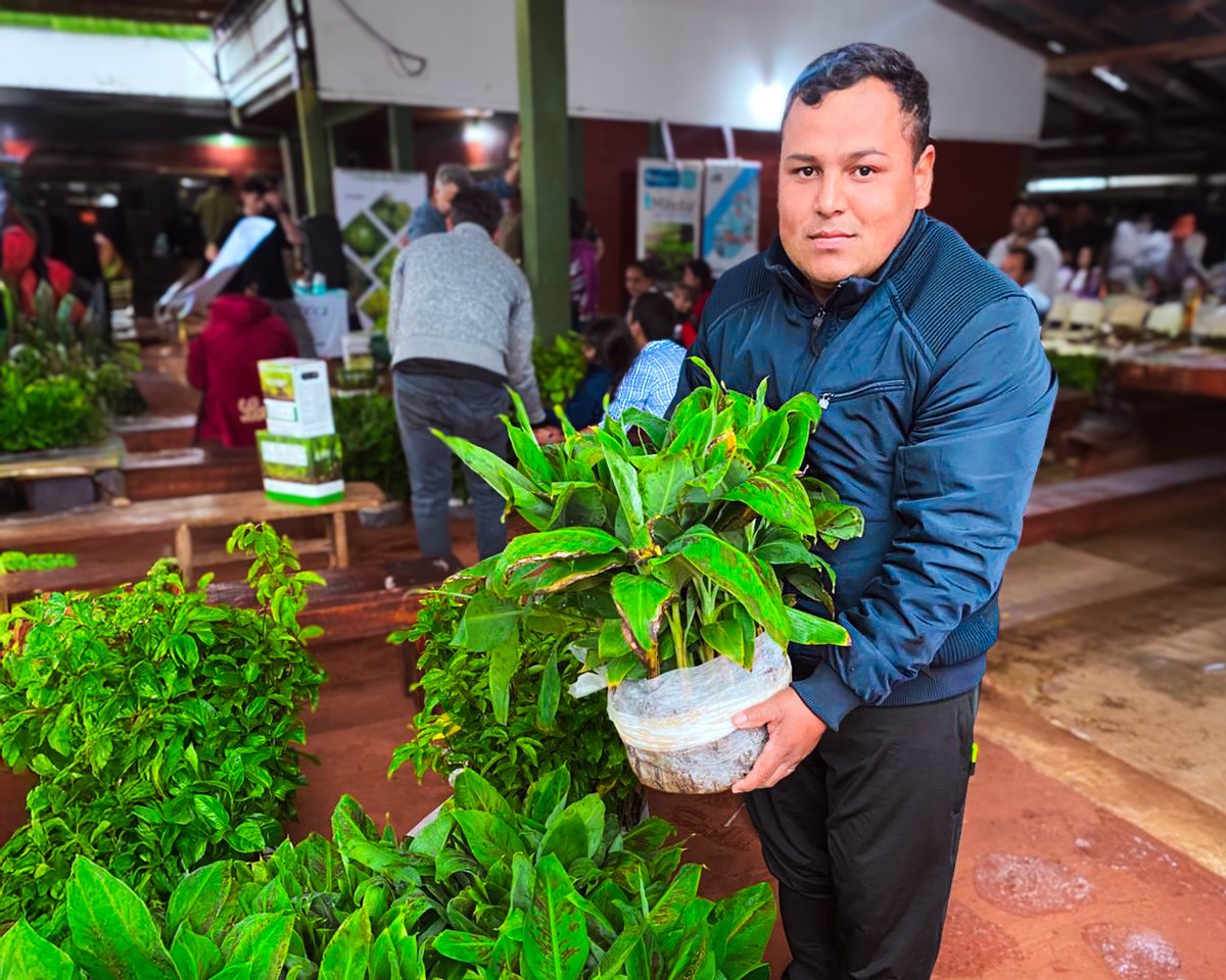 Noticiasdel6.com tweet media